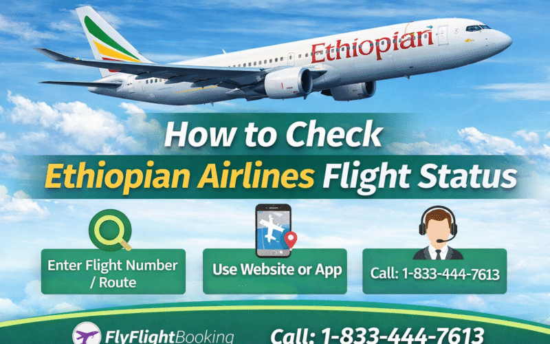 Ethiopian Airlines Flight Status